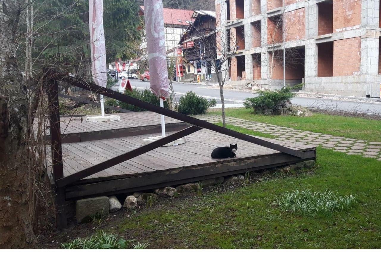 Pensiunea Anotimpuri Predeal Exterior photo