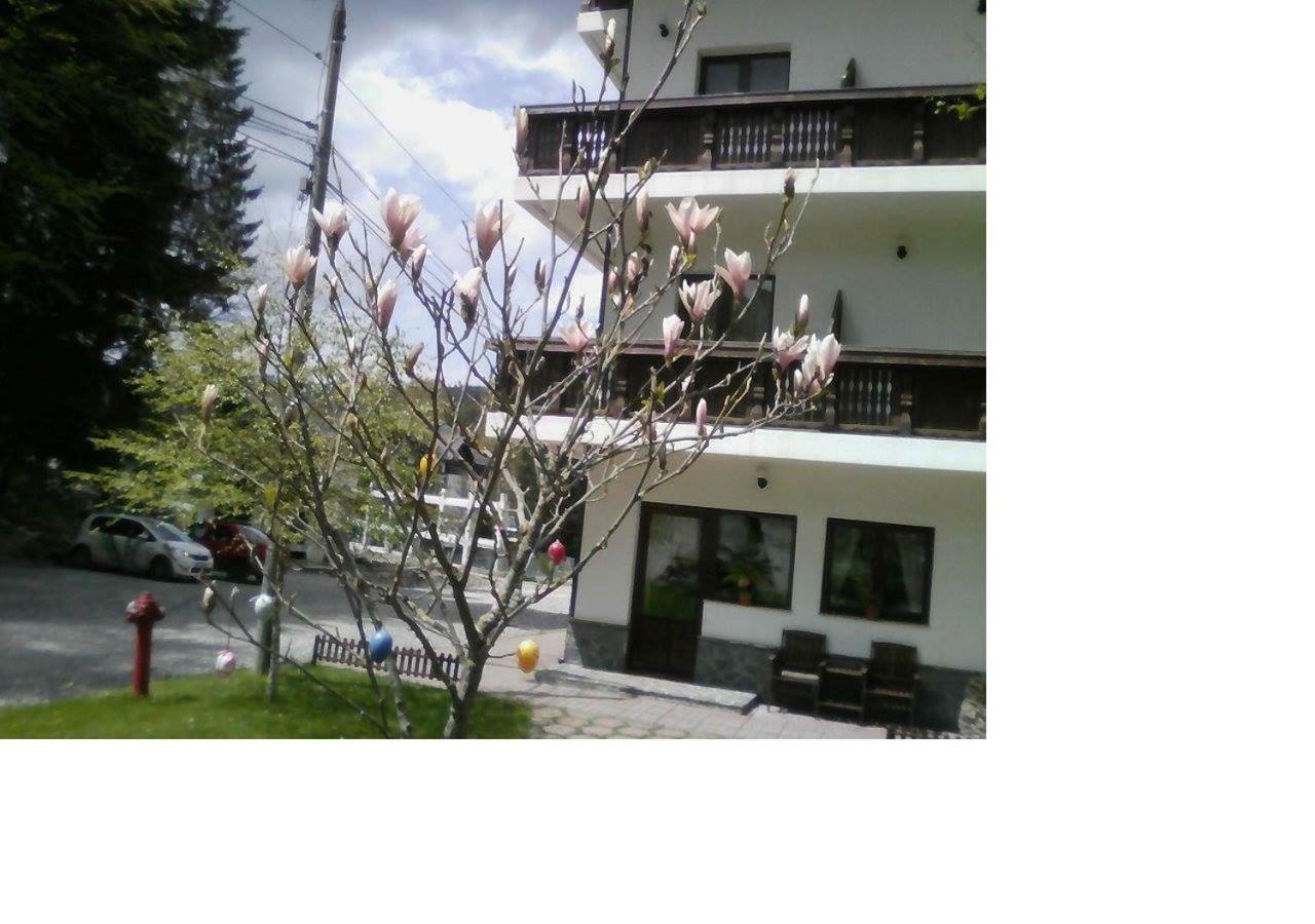 Pensiunea Anotimpuri Predeal Exterior photo